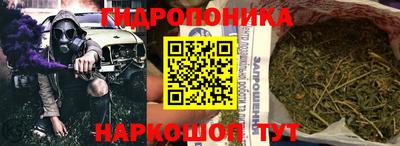 гашик Дмитров