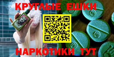 гашик Дмитров