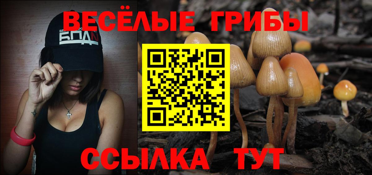 Псилоцибиновые грибы мицелий Москва